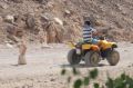 Reisetipp Quad Tour Dahab
