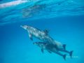 Reisetipp Robinson Tours