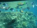 Reisetipp Aquascope Submarine