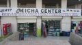 Micha Center