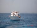 Reisetipp Bootstour El Gouna