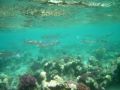 Reisetipp Tauchen Mangrove Bay El Quseir