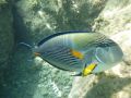 Reisetipp Arabia Blue Sea Aquacenter