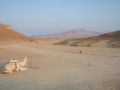Reisetipp Wadi al-Gimal–Hamata