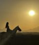 Reisetipp Sea Horse Stable Sahl Hasheesh Makadi - Pferde reiten, Quad Touren &amp; Kamele reiten