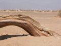 Reisetipp Meeresschutzgebiet Nabq