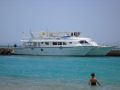 Reisetipp Schnorcheln Hausriff Palm Beach Resort Hurghada