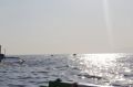 Reisetipp Delfinschwimmen Lovina