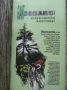 Reisetipp Giant Cedars Boardwalk