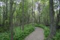 Reisetipp Point Pelee Nationalpark