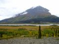 Reisetipp Kluane Nationalpark