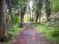 Reisetipp Stony Swamp Conservation Area