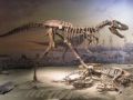 Reisetipp Royal Tyrrell Museum