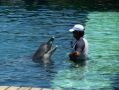 Reisetipp Delfinschwimmen Delphinus Riviera Maya