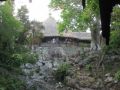 Reisetipp Cenote Zaci