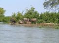 Reisetipp Mekong