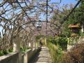 Reisetipp Villa Jovis