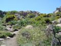 Reisetipp Sardinien