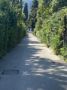 Reisetipp Wandern Riva del Garda