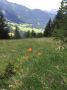 Reisetipp Wandern Val di Vizze / Pfitsch
