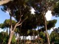 Reisetipp Parco Orangeo