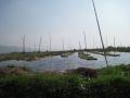 Reisetipp Schwimmende Gärten