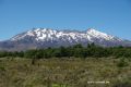 Reisetipp Ruapehu