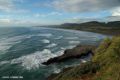 Reisetipp Muriwai Beach