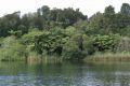 Reisetipp Lake Okareka