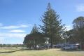 Reisetipp Top 10 Camping in Orewa