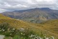 Reisetipp Crown Range Road