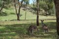 Reisetipp Warrumbungle National Park
