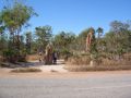 Reisetipp Litchfield National Park
