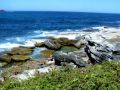 Reisetipp Bondi to Coogee Walk