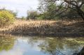 Reisetipp Kakadu National Park