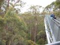 Reisetipp Tree Top Walk