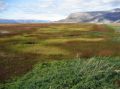 Reisetipp Varanger Halbinsel