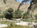 Reisetipp Wadi Bani Khalid