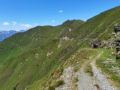 Reisetipp Wandern Gries am Brenner