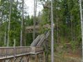 Reisetipp Wipfelwanderweg Rachau