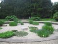 Reisetipp Botanischer Garten Wien