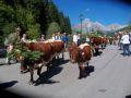 Reisetipp Almabtrieb