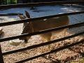 Reisetipp Zoo Plock