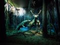 Reisetipp Museum Bialowieza Nationalpark