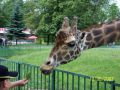 Reisetipp Schlesischer Zoologischer Garten