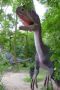 Reisetipp Dinopark - Zaurolandia
