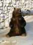 Reisetipp Moskauer Zoo