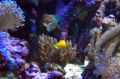 Reisetipp Aquaria Vattenmuseum (geschlossen)