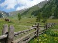 Reisetipp Alp Sesvenna