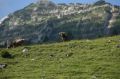 Reisetipp Bergstation Mattstock